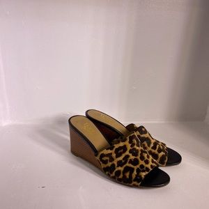 Women’s shoes size 7